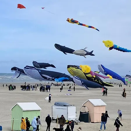 Evasion Berckoise Apartmán *